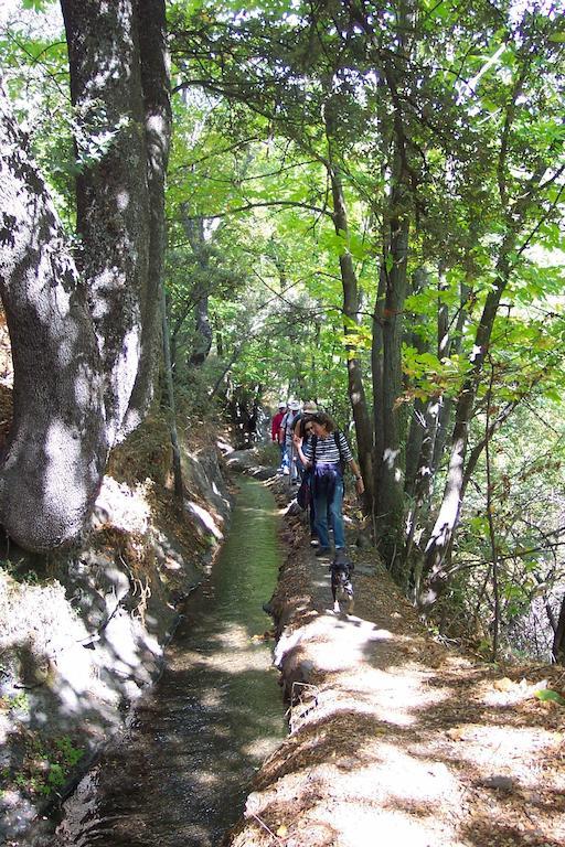 Alojamiento Rural Mirador Del Avellano Alpujarra De La Sierra Bagian luar foto