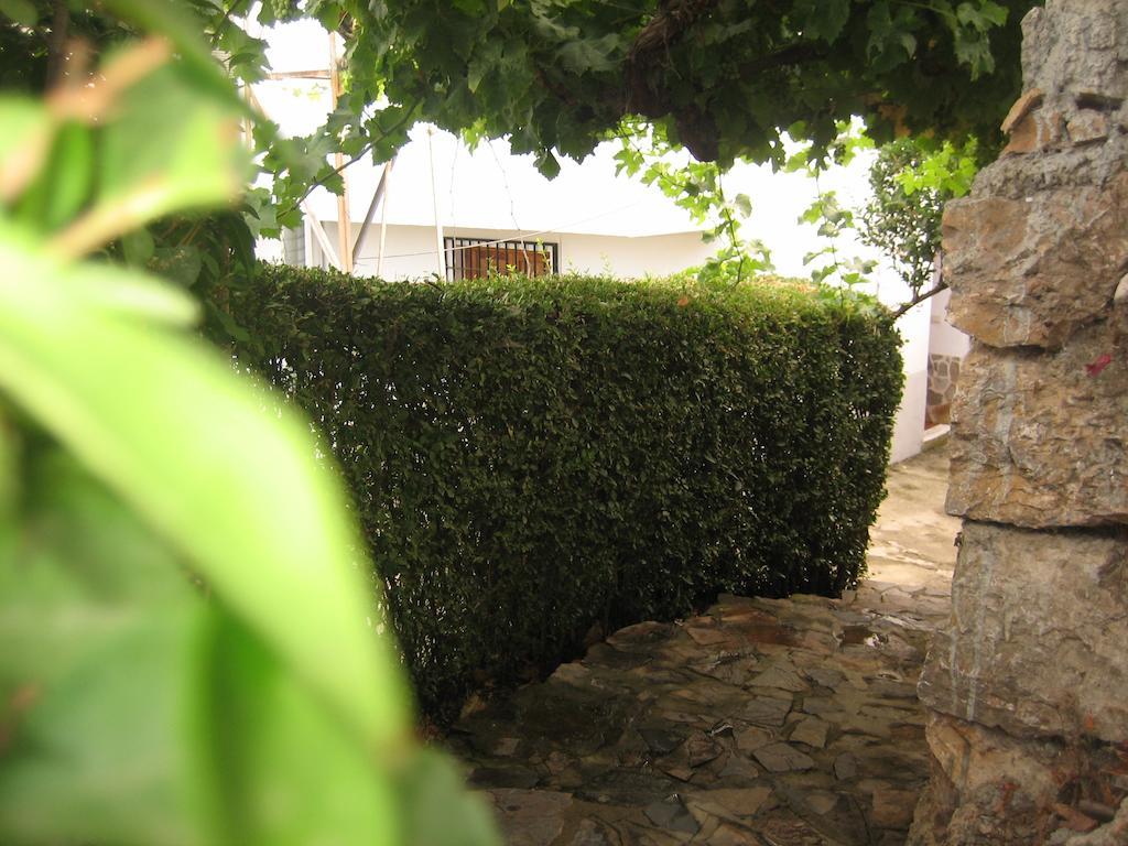 Alojamiento Rural Mirador Del Avellano Alpujarra De La Sierra Bagian luar foto